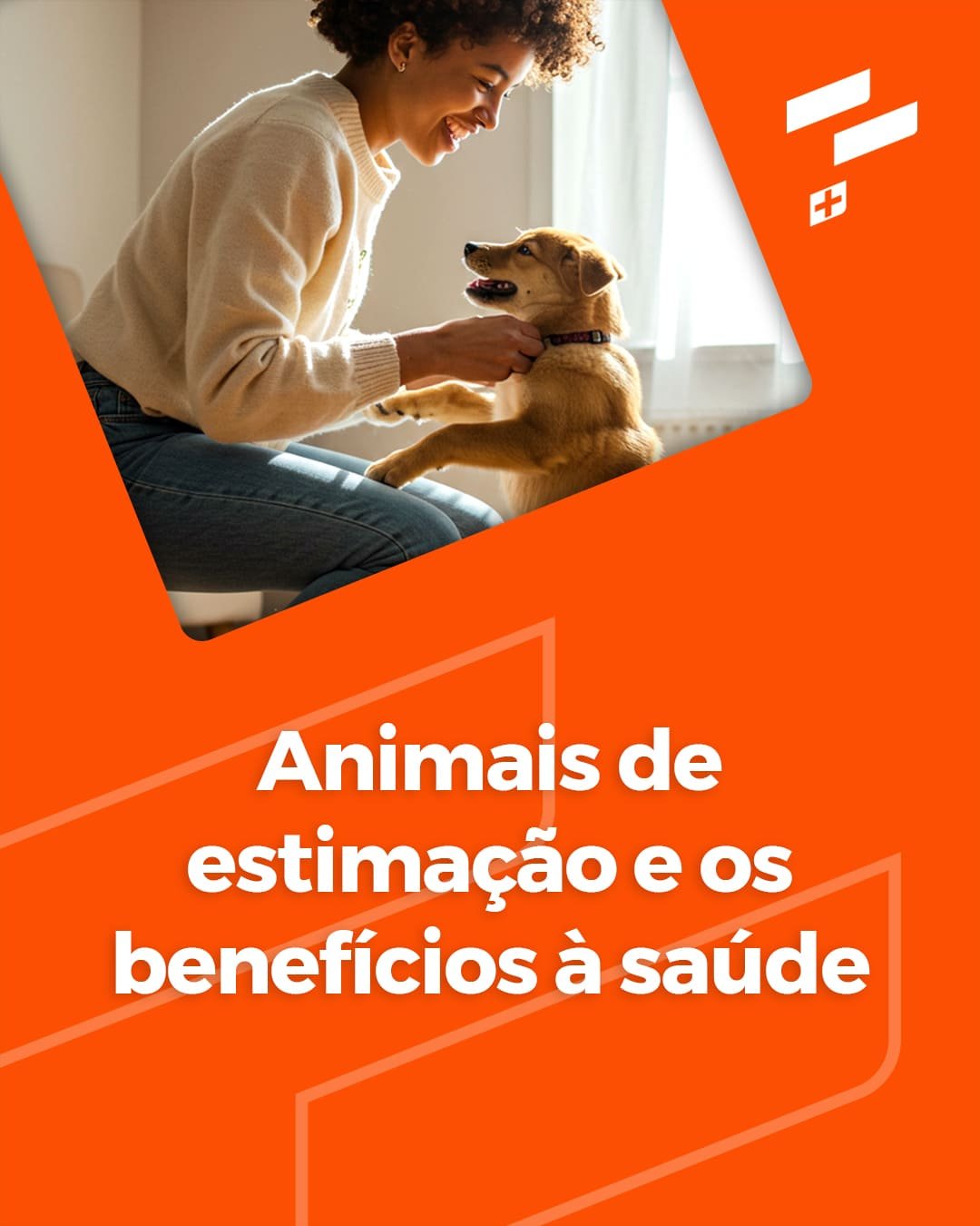 Animais de estimação e os benefícios à saúde
